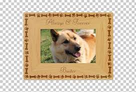 It's a small to medium sized dog, weighing up to 30 pounds and growing up to 18 inches as an adult. Dog Breed Icelandic Sheepdog Puppy Love Frames Png Clipart Animals Breed Carnivoran Dog Dog Breed Free