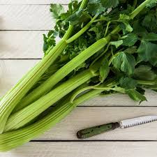 Plants can be started from seed or transplants (young plants). Celery Tall Utah Seeds The Seed Collection