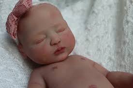 Reborn Artists and Collectors Nurseries