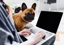 Cerere de revenire din concediu ngrijire copil. Stimulent De Insertie CondiÈii Acordare In StituaÈii ObiÈnuite Èi ExcepÈionale