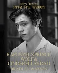 It's the one you have all been waiting for! Announcing our incredible cast  for UMMTA's Into the Woods. Witch & Cinderella's Mother: Jessica Harrison  O'Toole @jessicaharrison__ Baker: Matthew Packham (he/him) @matt_packham  Bakers