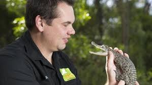 Crocodiles stolen Sandy Point