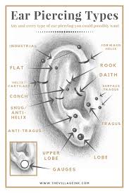 Ear Piercing Types In 2019 Types Of Ear Piercings Ear