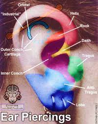 The Other Side Picture Of The Day 5 15 07 Different Ear Piercings Types Of Ear Piercings Ear Piercing Names