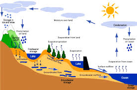 The Hydrosphere Hydrological Cycle Groundwater Apologia Science