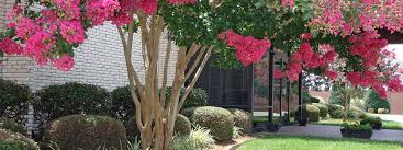 Where families gather to celebrate a life well lived. Funeral Home In Mooresville Nc Cavin Cook Funeral Home Crematory