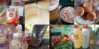 Lupakan membuat roti bakar atau roti panggang, yuk, buat kreasi makanan yang enak dari roti tawar. 7 Jenis Baja Yang Boleh Di Gunakan Untuk Tanaman Sayuran Di Rumah Blog Santai Santai Jerr