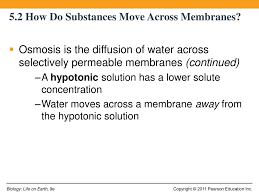 Diffusion is always happening, even when a system appears to have reached equilibrium, because molecules are always moving. Cell Membrane Structure And Function Ppt Download