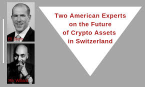 Its 'a profound shift in how the internet could be used to. Rik Willard And Eli Stern Two American Experts On The Future Of Crypto Assets In Switzerland U S Embassy In Switzerland And Liechtenstein