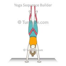 Over 150 aerial yoga tutorials to help you get comfortable with your zensling. Handstand Pose Aerial Yoga Adho Mukha Vrksasana Aerial Yoga Sequences Benefits Variations And Sanskrit Pronunciation Tummee Com