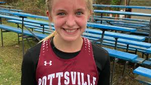 PIAA CROSS COUNTRY: Local runners improve places, times, gain experience