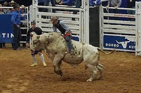 She resonates a poetic and wild songwriting mixing acoustic and electronic. Sxsw Tagebuch 2018 Auf Geht S Zum Rodeo Hamburg Startups