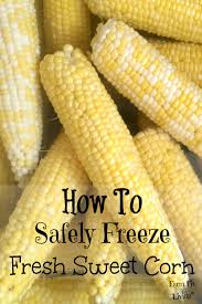 Freezing vegetables does not stop nature's clock from ticking altogether but the cold corn cutter tools are very helpful if you will be processing dozens of ears of corn. Safely Freeze Fresh Sweet Corn Farm Fit Living