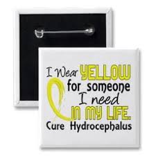 Hydrocephalus Fluid On The Brain My Aunt Has This Spina Bifida Awareness Awareness Brain Surgery