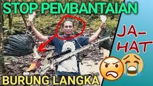 Saya ceritakan juga kisah ini kepada finalis lainnya di sana, kata estelita liana, putri indonesia pariwisata 2014 di jakarta, kamis (11/12). Paruhnya Lebih Mahal Dari Gading Gajah Si Burung Enggang Gading Dubai Khalifa