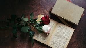 Find over 100+ of the best free aesthetic books images. Flowers And Books Aesthetic Wallpaper Wallpapers Download 2022