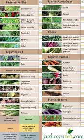Que Cultiver Ou Semer Au Potager En Aout Potager Conseil Jardinage Jardinage