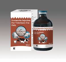 Ivermectin is a medication used to treat many types of parasite infestations. China Ivermectin 1 Injection For Camel Cattle Sheep Goat Use 50ml Veterinary Medicine Photos Pictures Made In China Com