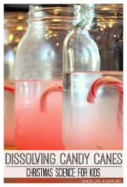 Dissolving Candy Canes Christmas Science For Kids Christmas Science Christmas Science Activities Science For Kids