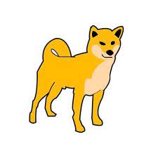 How do you feel about shiba inu today? Crypto Shiba Crypto Shiba Twitter
