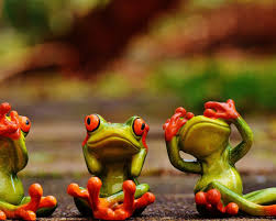 Working on a wlr themed home screen. Hd Frog Wallpapers Top Free Hd Frog Backgrounds Wallpaperaccess