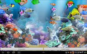 Free download sim aquarium is an interactive true 3d. 50 Live Aquarium Wallpaper With Sound On Wallpapersafari