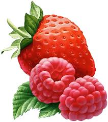 Fruits Page 26 Fruit Painting Fruit Food Illustrations