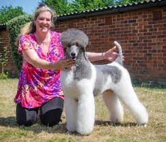 Our puppies are akc registered and come with a limited registration. Pradetti Poodles Absolutely Animals Ltd