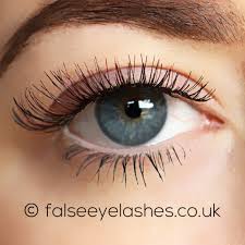 4.4 out of 5 stars 159. Buy Ardell Color Impact Lashes Demi Wispies Wine False Eyelashes