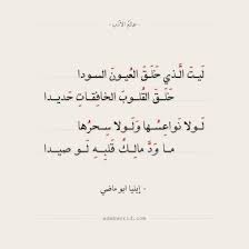 إيليا ابو ماضي ليت الذي خلق العيون السودا عالم الأدب weird words wisdom quotes life cool words
