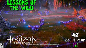 Lessons Of The Wild Young Aloy Horizon Zero Dawn Hzd Ps4 Horizon Zero Dawn Dawn Lesson