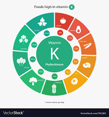 Foods High In Vitamin K