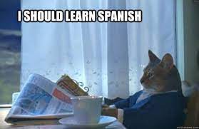 How To Learn Spanish Vocabulary With Reddit Memes And More Fluentu Spanish