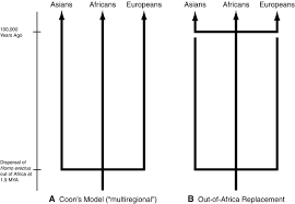 Genetics And Recent Human Evolution