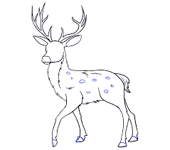 We made all the new lines of each stage red and came up with simple descriptions so that even the most inexperienced artist could learn how to draw a deer head. How To Draw A Deer In A Few Easy Steps Easy Drawing Guides