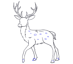 Deer drawing lessons and step by step drawing tutorials. How To Draw A Deer In A Few Easy Steps Easy Drawing Guides
