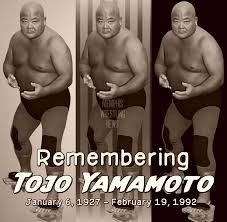 Image result for Banzai Blue 1992 Shadow