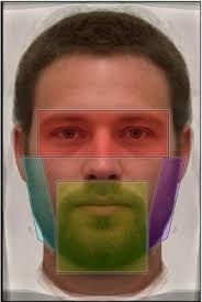 1 RUNNING HEAD: BEARDS AND CHILDREN'S FIRST IMPRESSIONS Facial hair is  increasingly associated with dominance, but not trust