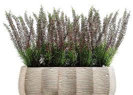 Чем ближе холода, тем сложнее подобрать подходящее озеленение, соответствующее климату. Chto Vy Znaete O Vereske Treez Collection