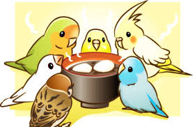 美食 吃货 萌萌的鸟星人 多图杀猫 爱宠小组 果壳网科技有意思 cute drawings kawaii drawings cute art