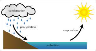 The Techie Teacher Water Cycle Thinglink Water Cycle Game Water Cycle Techie Teacher
