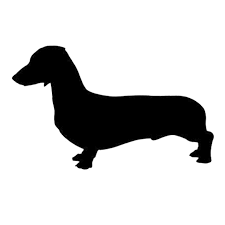 13 6 8 4 Cm Dachshund Kopek Araba Kapak Cizikler Hayvan Dekoratif Cikartmalari Motosiklet Araba Sticker C6