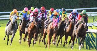 twitter to live stream one of the world s biggest horse races digital trends horses big horses horse racing