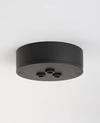 Black Ceiling Roses In 2019 Lights Ceiling Rose Black Ceiling Lighting