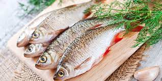 Check spelling or type a new query. Cara Pilih Ikan Cumi Cumi Dan Seafood Lain Yang Segar Halaman All Kompas Com