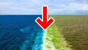 Why 2 Oceans Don T Mix Wordlesstech Pacific Ocean Ocean Atlantic