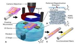 Setup Of The Microrobot Assisted High Precision Wet Transfer A Magnetically Controlled Microscopic Photography Scanning Electron Microscopy Surface Tension