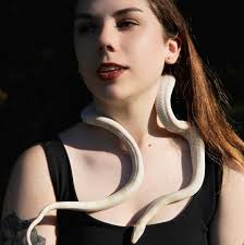 Where to find the slime seller from the middle stand?