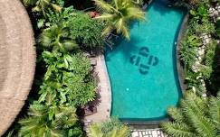 Joy Becomes Us: A Movement and Meditation Retreat