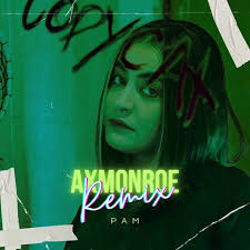 Copycat (feat. PAM) [Remix]